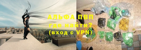 эйфоретик Баксан