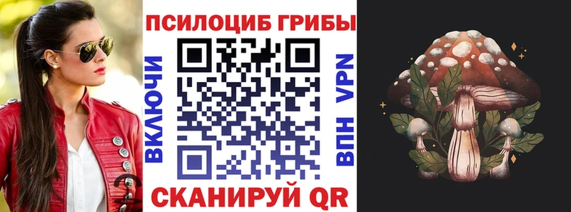 Галлюциногенные грибы MAGIC MUSHROOMS  Почеп 
